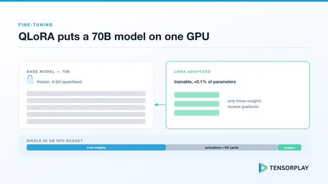 Frozen 4-bit base model with trainable LoRA adapters and a single 80 GB GPU memory budget