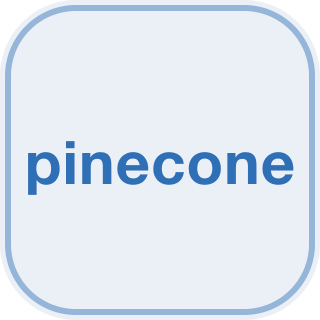 Pinecone Integration